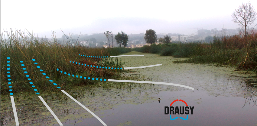 Verfahrensgrafik Schlauchverlegung Teichsanierung, Drausy GmbH Schweigen-Rechtenbach