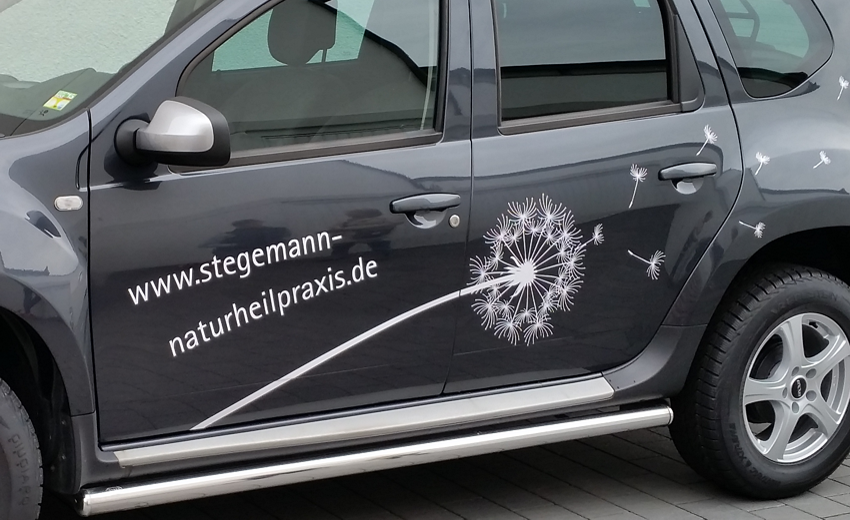 Auto Naturheilpraxis